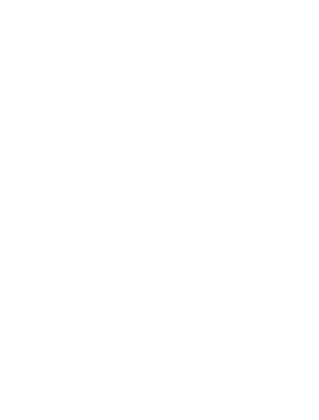 The Zamana
